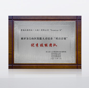 2017 優(yōu)秀技能團(tuán)隊(duì)